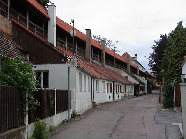 dsc00249.jpg
