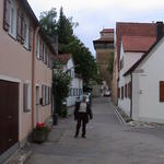 dsc00250.jpg