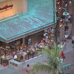 dsc00006.jpg