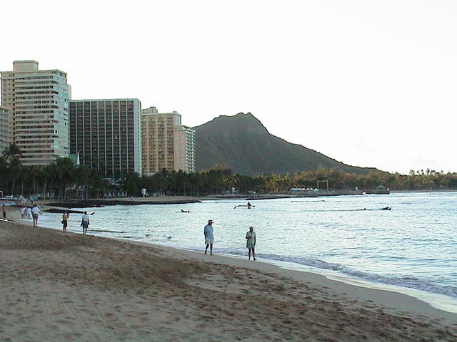 dsc00013.jpg