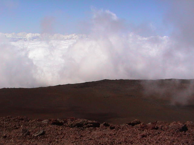 dsc00042.jpg