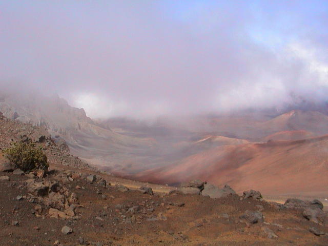 dsc00054.jpg