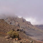 dsc00055.jpg