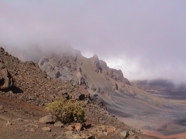 dsc00055.jpg