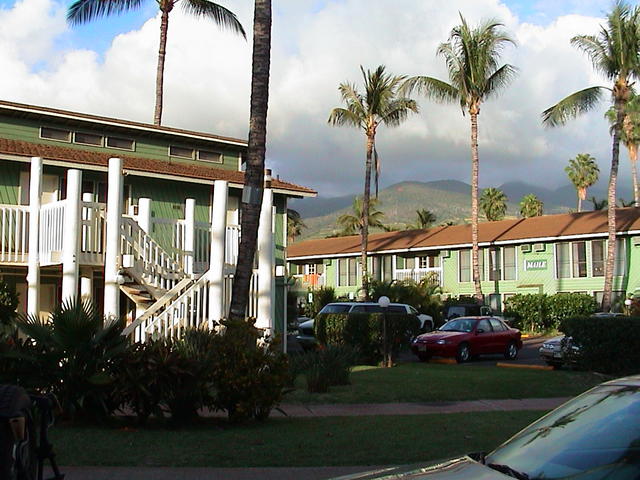dsc00062.jpg