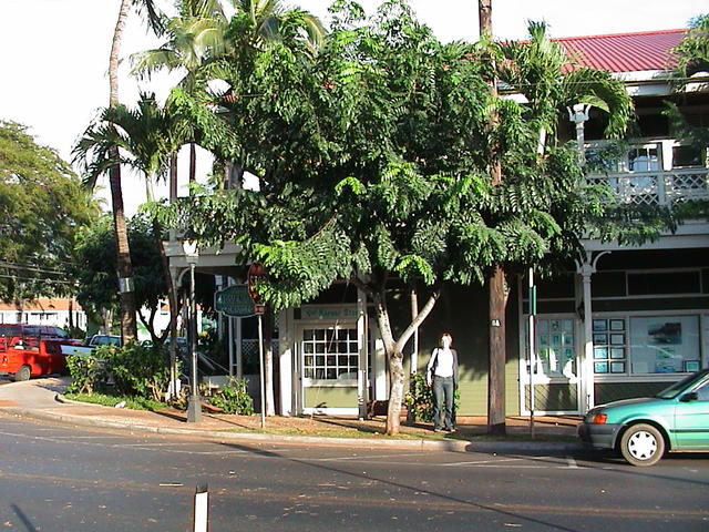 dsc00063.jpg
