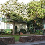 dsc00066.jpg