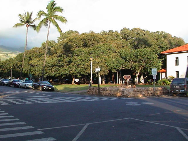 dsc00072.jpg