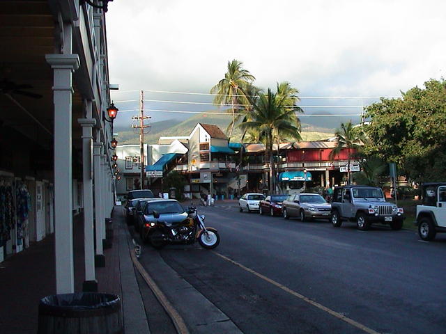 dsc00073.jpg