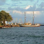 dsc00077.jpg