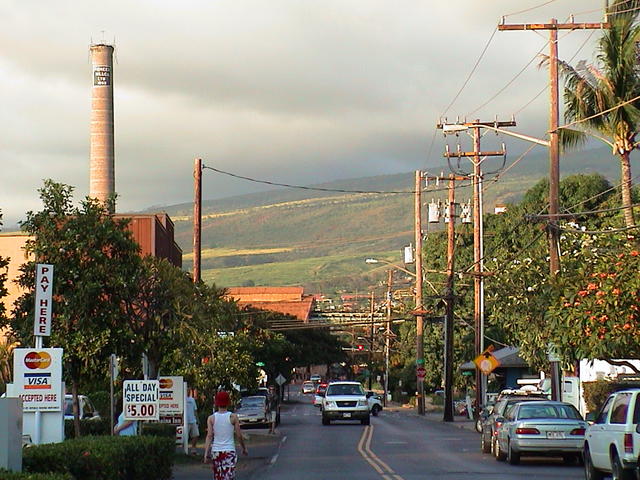 dsc00079.jpg
