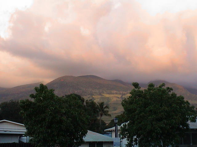 dsc00088.jpg