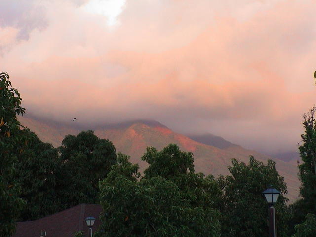 dsc00089.jpg