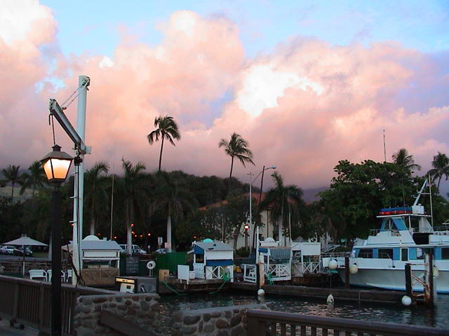 dsc00090.jpg