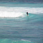 dsc00095.jpg
