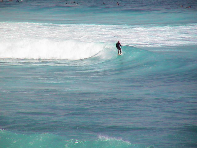 dsc00095.jpg