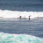 dsc00096.jpg