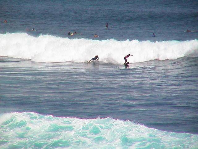 dsc00096.jpg