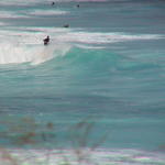 dsc00097.jpg