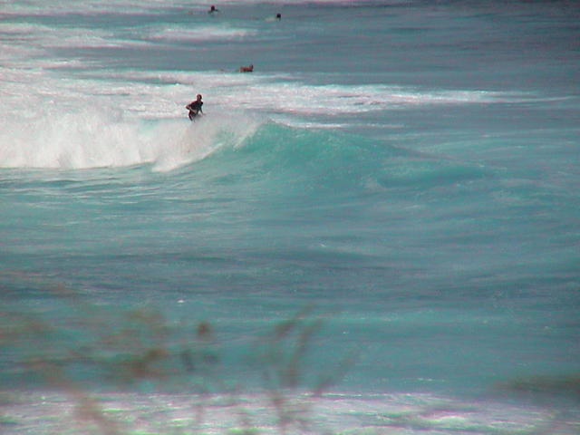 dsc00097.jpg
