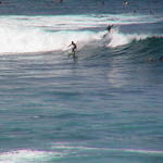 dsc00098.jpg
