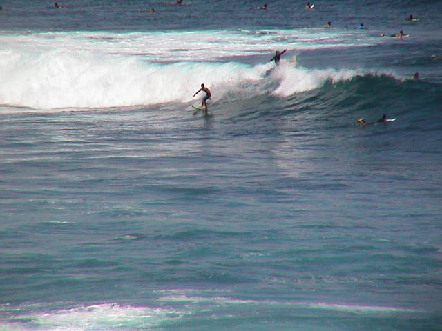 dsc00098.jpg