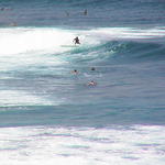 dsc00099.jpg