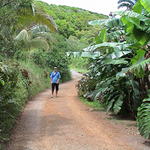 dsc00108.jpg