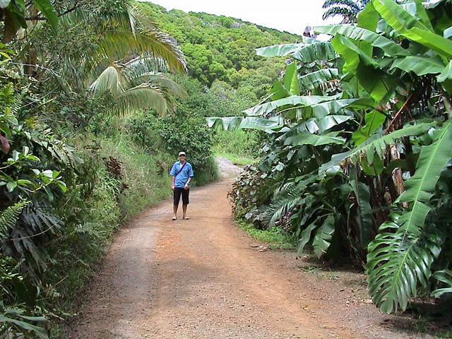 dsc00108.jpg
