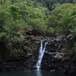 dsc00114.jpg