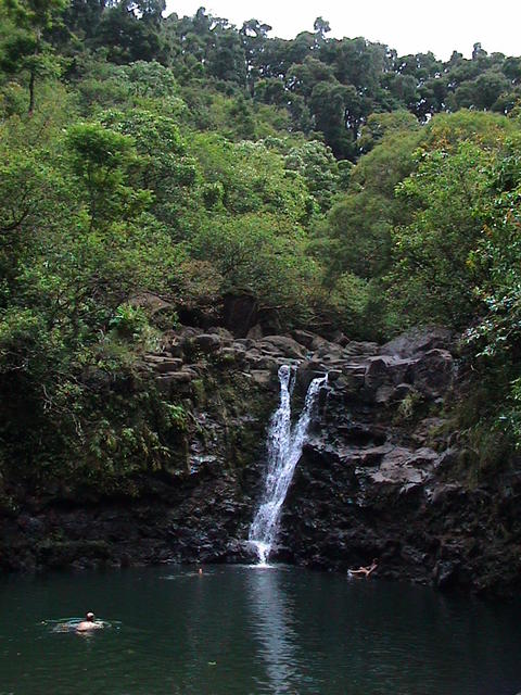 dsc00114.jpg