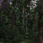 dsc00116.jpg