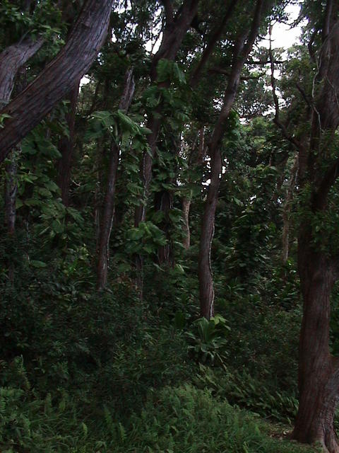 dsc00116.jpg