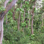 dsc00117.jpg