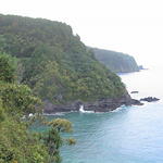 dsc00118.jpg