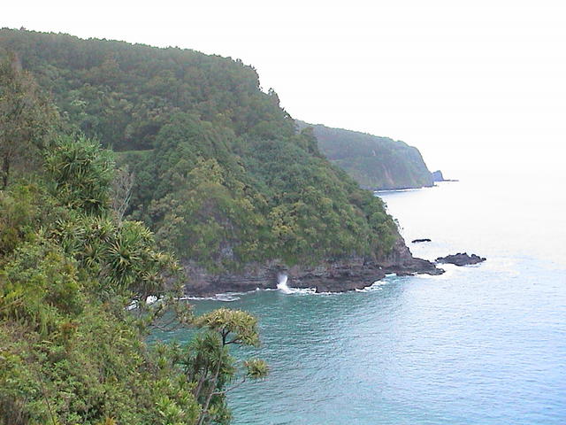 dsc00118.jpg