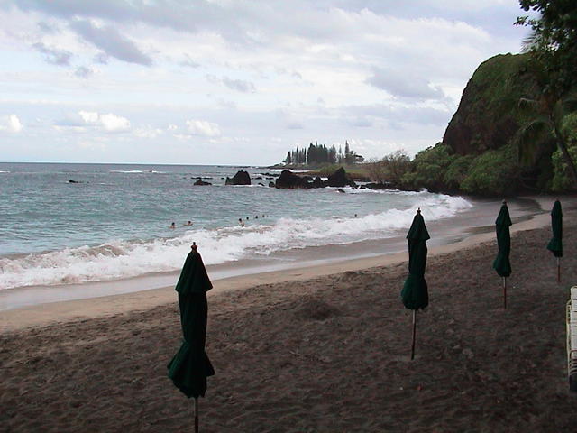 dsc00119.jpg