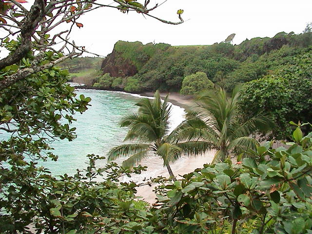 dsc00121.jpg
