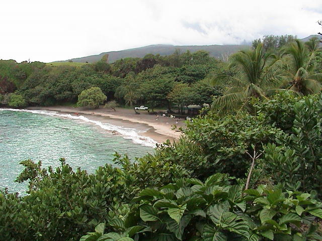 dsc00122.jpg