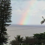 dsc00123.jpg