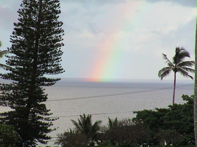 dsc00123.jpg