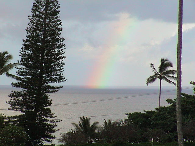 dsc00124.jpg