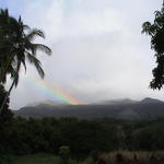 dsc00132.jpg