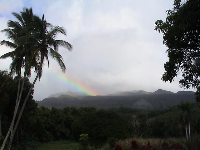 dsc00132.jpg