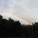 dsc00133.jpg