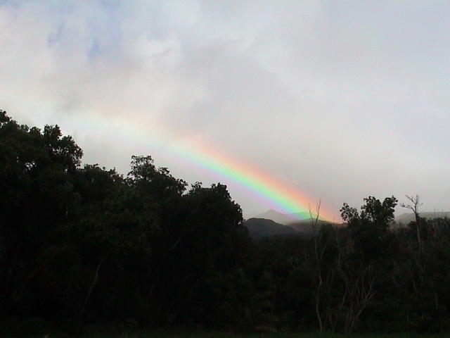 dsc00133.jpg
