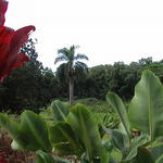 dsc00134.jpg