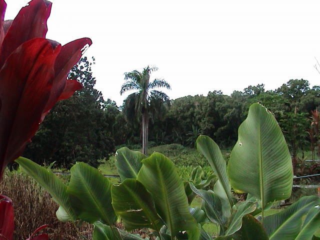 dsc00134.jpg