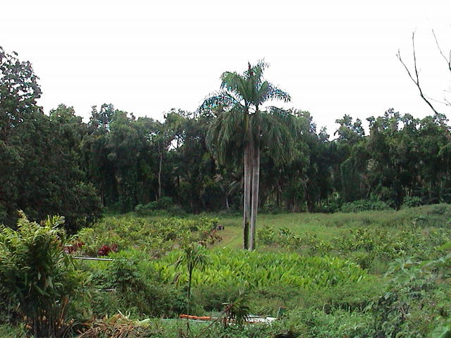 dsc00135.jpg