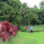 dsc00138.jpg